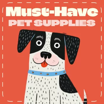 First-Day Pet Supplies Checklist: Calm Setup + Essentials